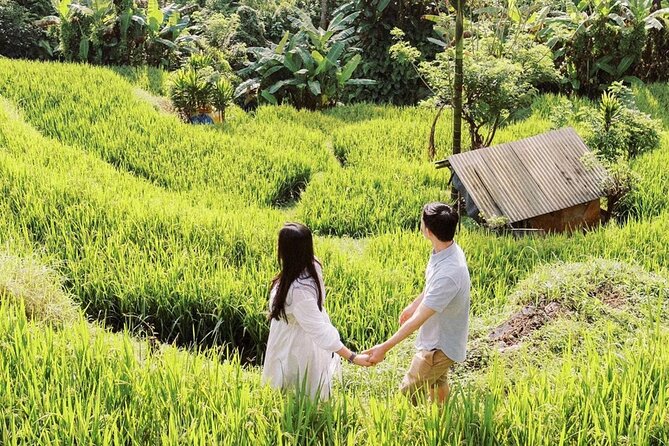 Bali Instagram Tour - Pickup, Air-Conditioned Comfort, and an English Driver