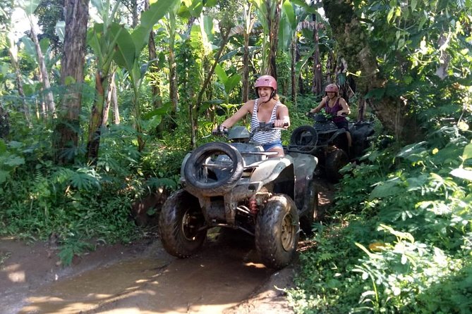 Bali Jungle ATV Quad Bike - The route you should expect: rice, bamboo, mudflats, river crossings