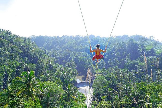 Bali Jungle Swing and White Water Rafting All Inclusive - Quick take: what you should know before you go
