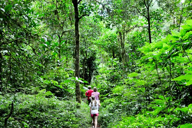 Bali Jungle Trekking in Beautiful Rainforest - Getting out of Seminyak traffic with real round-trip pickup