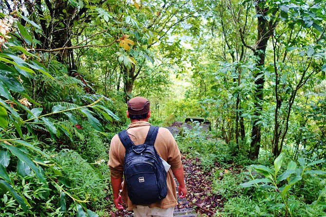 Bali Jungle Trekking in Beautiful Rainforest - The journey between stops: hills, waterfall, gate, temple, botanical garden