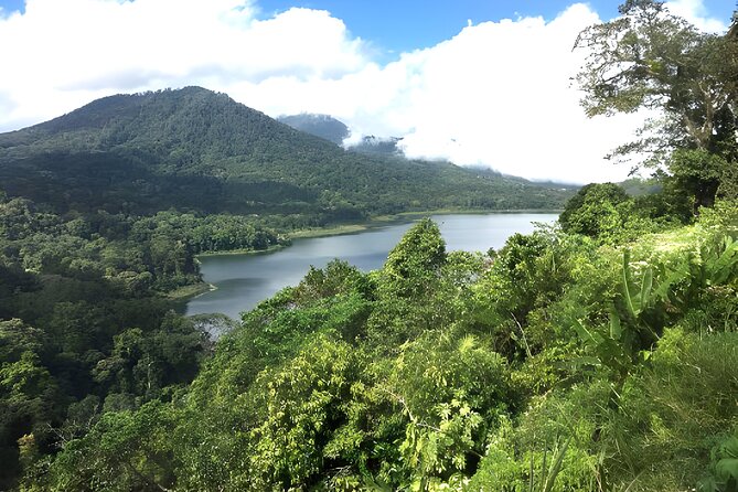Bali Jungle Trekking in Beautiful Rainforest - The jungle trek: how “stay on track” keeps it enjoyable