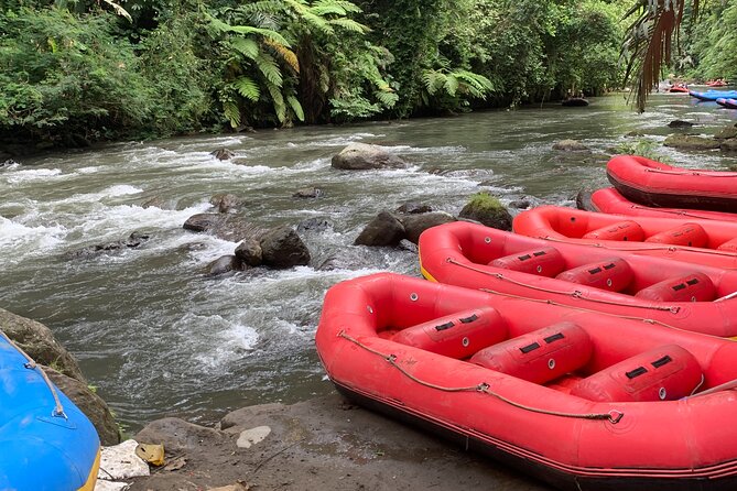 Bali Jungle White Water Rafting Adventure - The Calmer Float and Wildlife Time That Actually Matters