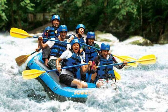Bali Jungle White Water Rafting Adventure - The Big Reality Check, Steps Down and Back Up