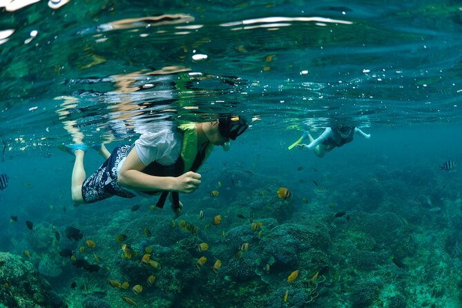 Bali Lembongan Island Beach Club Day Trip - Bali Hai II to Lembongan: why this day trip feels worth it