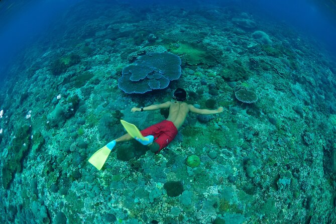 Bali Lembongan Island Beach Club Day Trip - Optional add-ons: parasailing and scuba, plus weather and comfort reality