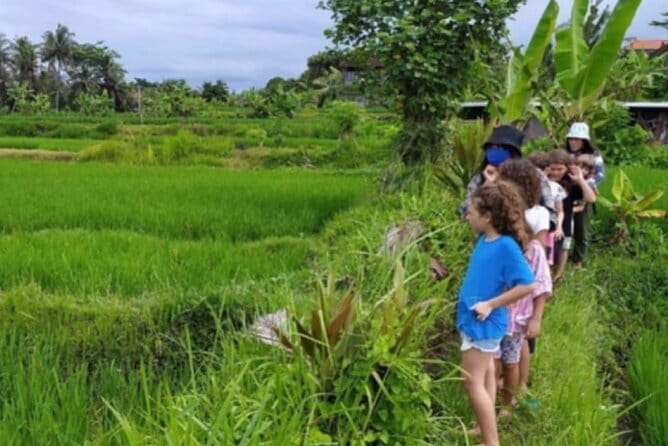 Bali: Lempuyang Temple, Waterfall & Rice Terrace Private Tour - Tukad Cepung Waterfall: Getting the Lighting Right