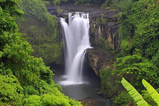 Bali Lempuyang Temple, Waterfall with Rice Terrace Tour - Tegalalang rice terraces and Subak irrigation, the UNESCO angle