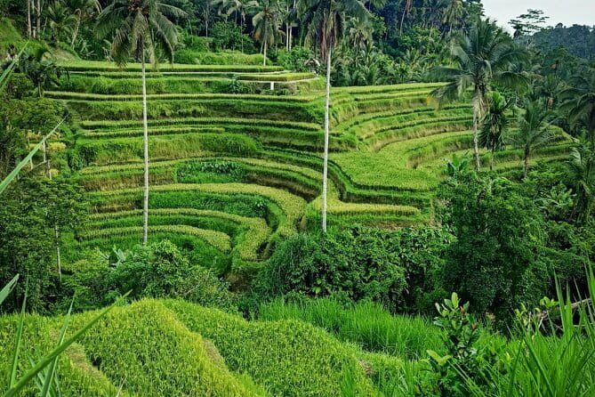Bali Lempuyang Temple, Waterfall with Rice Terrace Tour - Tirta Gangga Water Palace, where Bali meets Dutch and Chinese influence