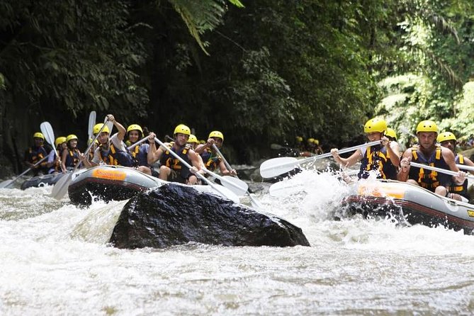 Bali Mason Adventure White Water Rafting - Stop 1: the Ayung River run, rapids, and how the pace feels