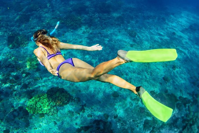 Bali Menjangan Island Snorkeling Day Tour - Who this Bali Menjangan tour suits best