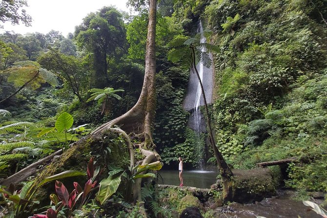 Bali Most Scenic Waterfalls Trekking - Price and value: why $35 can make sense, and when it will not