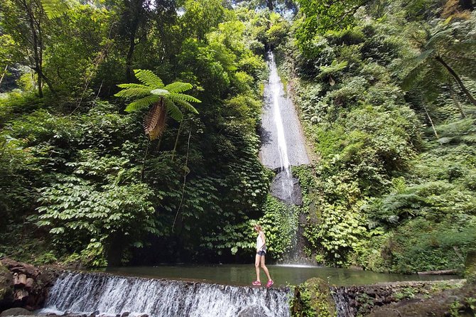 Bali Most Scenic Waterfalls Trekking - Who this tour fits best in Bali