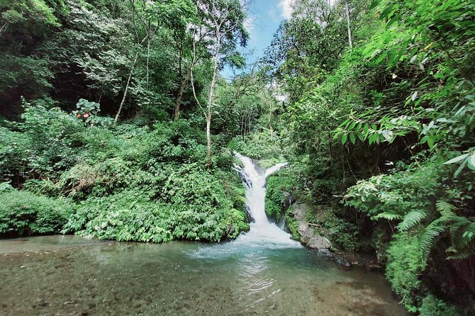 Bali Most Scenic Waterfalls Trekking - The trek in Wanagiri Hills, walking sticks and swimming options