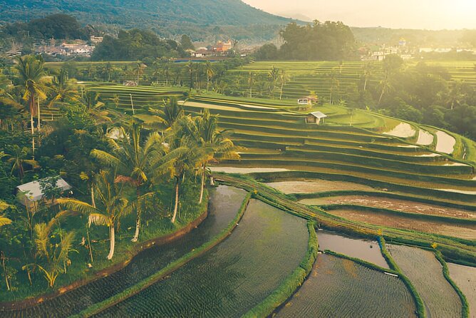 Bali Nature and Paradise Escape | With The Best Bali Driver - Taman Ayun Temple: gardens, ponds, and a calmer kind of Bali