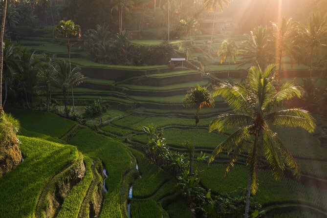 Bali Nature and Paradise Escape | With The Best Bali Driver - Leke Leke Waterfall: a lush pause after culture stops