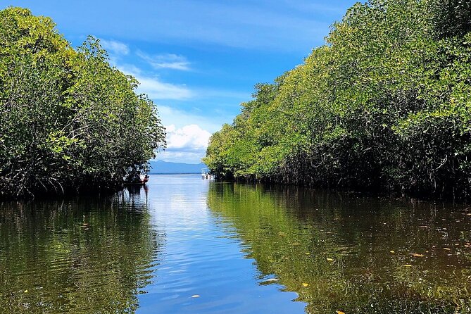 Bali Nusa Lembongan Islands Private Tour - All Inclusive - Price and Value for an 8-Hour Private Day Trip
