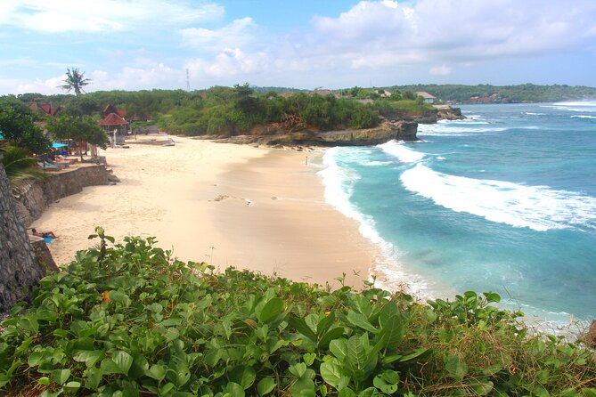 Bali Nusa Lembongan Islands Private Tour - All Inclusive - Seaweed Farm Stop: Real Work, Not Just a Photo Op