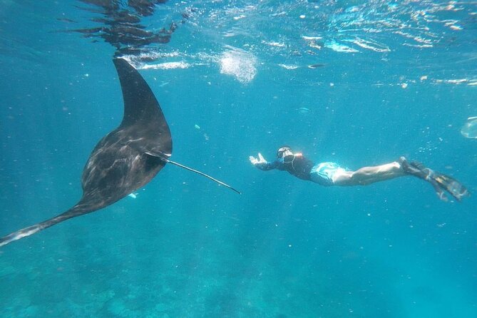 Bali Nusa Penida and Private Snorkeling (Manta Bay, Gamat, Wall) - Key points to know before you go