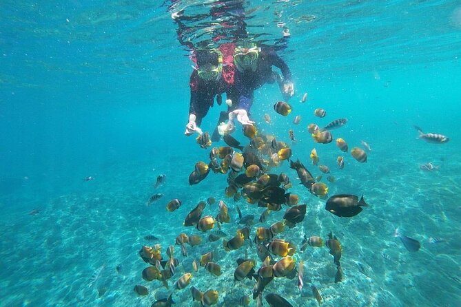 Bali Nusa Penida and Private Snorkeling (Manta Bay, Gamat, Wall) - Gamat Bay and Wall Bay Point: where the scenery changes again