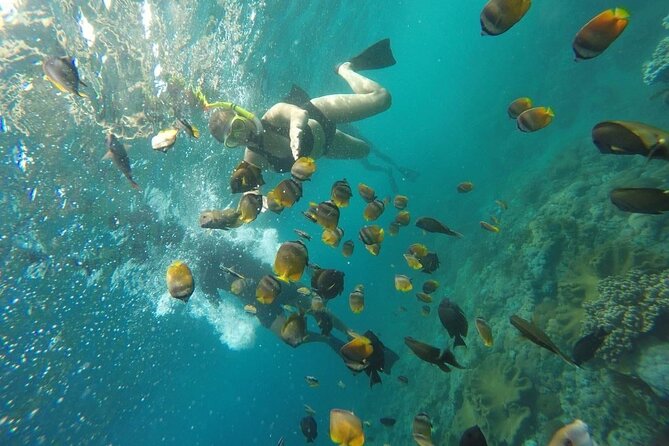 Bali Nusa Penida and Private Snorkeling (Manta Bay, Gamat, Wall) - Private snorkeling boat, instructor, and gear: the easy-day advantage