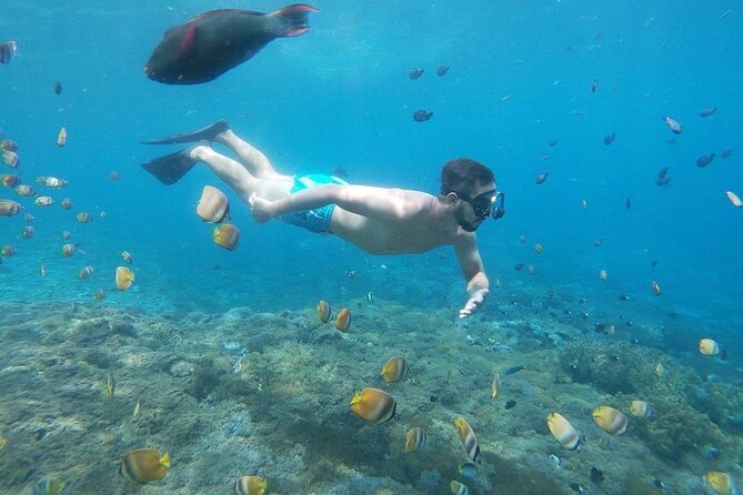 Bali Nusa Penida and Private Snorkeling (Manta Bay, Gamat, Wall) - Lunch and included comforts that matter on a 10-hour day
