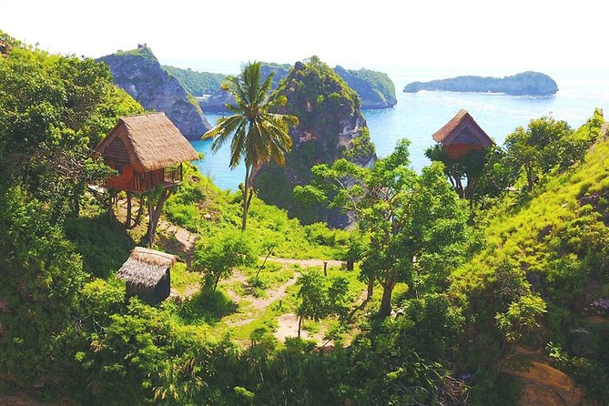 Bali-Nusa Penida. East Part. Private car. All-inclusive - Molenteng Tree House: The Cliffside Climb and Photo Stop