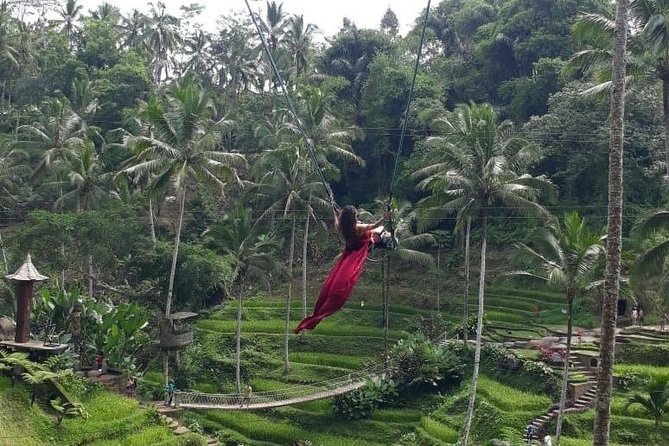 Bali Private 3 Days Tour Package Highlight - Photo strategy that fits this itinerary
