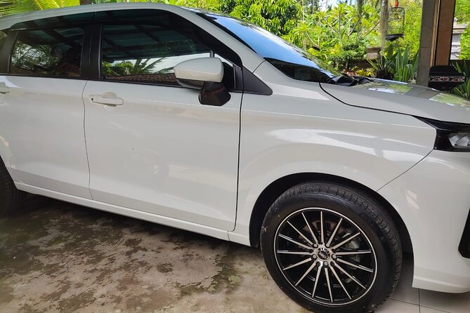 Bali Private Car and Customize Tour With English Speaking Driver - Tegenungan waterfall, Celuk silver crafting, and a smart shopping pause