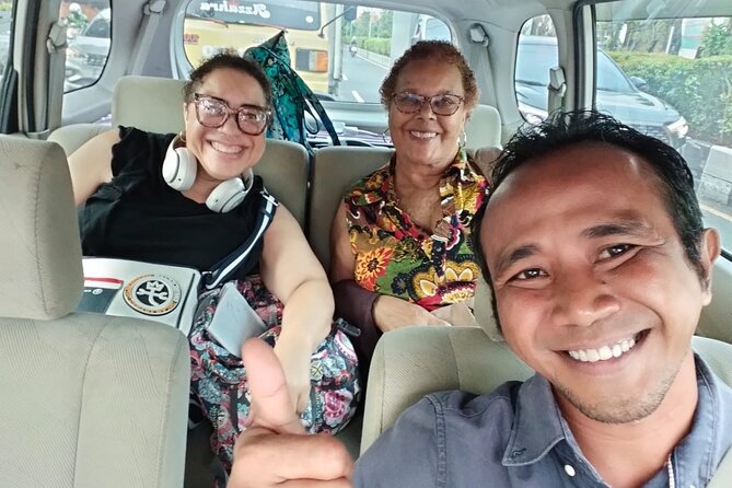 Bali Private Car and Driver – Explore the Island Your Way - Comfort and safety: what the included car really changes