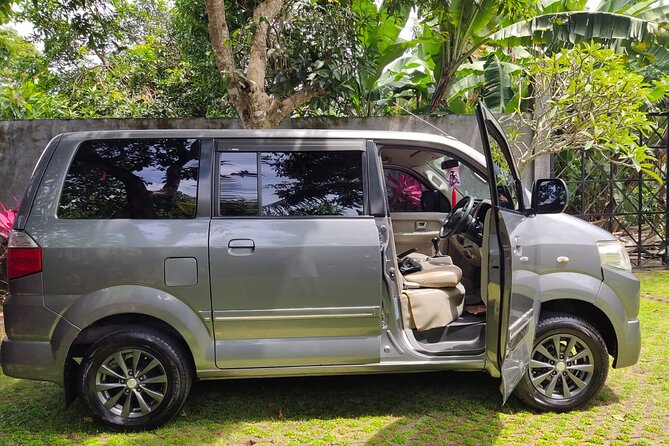 Bali Private Car Charter & Customize Tour With Driver English Speaking-Free WiFi - Stop 1 to 4: Batuan, monkey forest, terraces, and the swing-photo moment