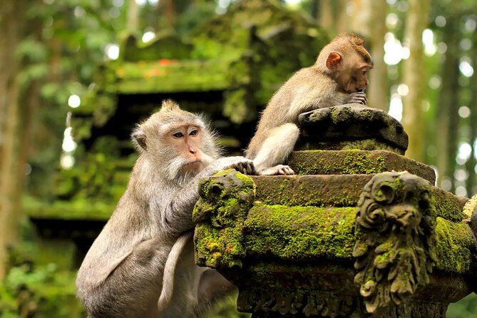 Bali Private Car Charter & Customize Tour With Driver English Speaking-Free WiFi - Stop 11 to 15: batik, silver, markets, Saraswati Temple, and Tanah Lot
