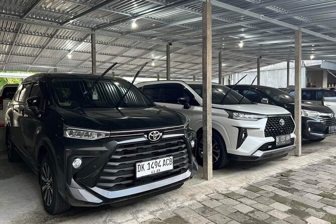 Bali Private Car Charter & Customize Tour With Driver English Speaking-Free WiFi - How the day is paced: Ubud culture first, then cliff and coast icons