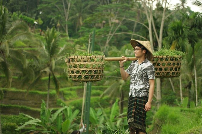 Bali Private Car Charter Tour with English Speaking Driver - Waterfall route: Tegenungan, Tibumana, Kanto Lampo, and Tukad Cepung