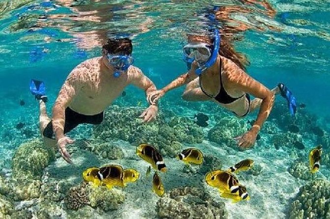 Bali Private Car Charter Tour with English Speaking Driver - Temple and heritage stops: Tirta Empul, Batuan, and Tegalalang