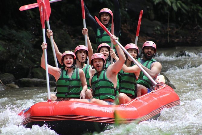 Bali Private Car Charter Tour with English Speaking Driver - The English speaking driver role, and what good planning looks like
