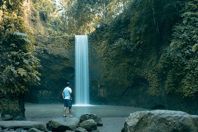 Bali Private Car Charter With English Speaking Driver - English speaking driving, street navigation, and calm timing