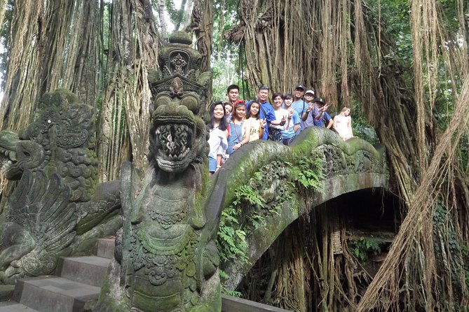 Bali Private Car Charter with English Speaking Driver Or Guide - Entrance fees, sarongs, and the real cost math