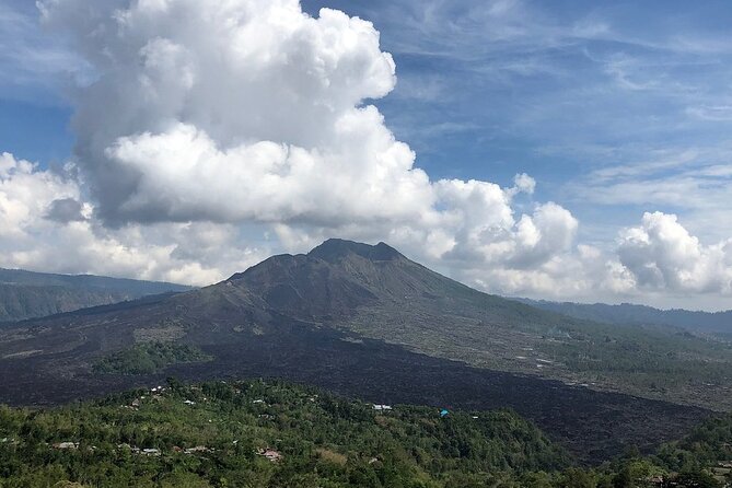 Bali Private Car Charter With English Speaking Driver To Ubud Area - A Private 10-Hour Charter From Seminyak, With Ubud Drop-Off That Actually Helps