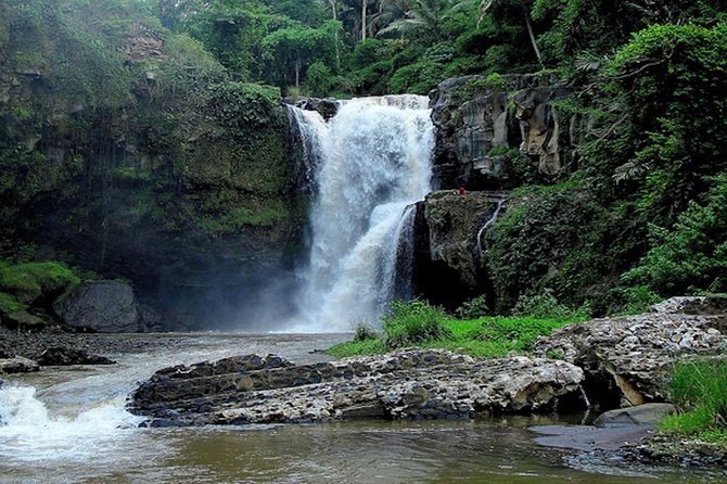 Bali Private Car Charter with English Speaking Driver - Ubud day plan: temples, waterfalls, markets, and monkey forest time