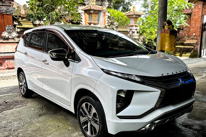 Bali Private Car Full Day Customized Tour With Drone Service - The Value Play: What You Get for Around $33