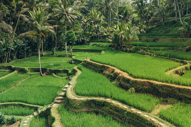 Bali Private Car Full Day Customized Tour With Drone Service - Beyond Ubud: Penglipuran, Taman Ayun, Jatiluwih, and Handara