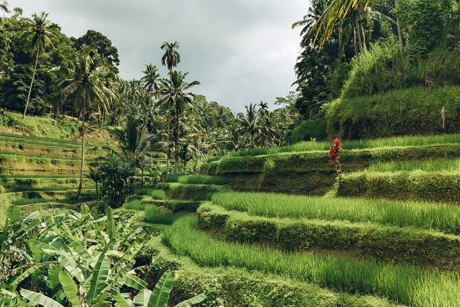 Bali Private Car Full Day Customized Tour With Drone Service - Drone Service: How to Get Better Aerial Shots Without Making It Hard