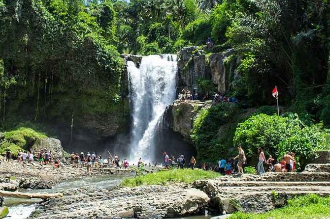 Bali Private Car Hire with Driver - Elephant Cave, Temple Formations, and Ubud Art Market