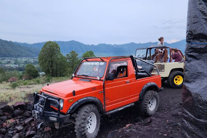 Bali Private Custom Tour - Transportation, comfort, and the details that prevent day-trip headaches