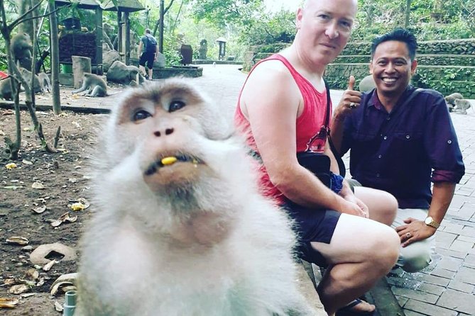 Bali Private Custom Tour - Bali Car Hire with Driver - Air-Conditioned Comfort, Bottled Water, and Charges Already Handled