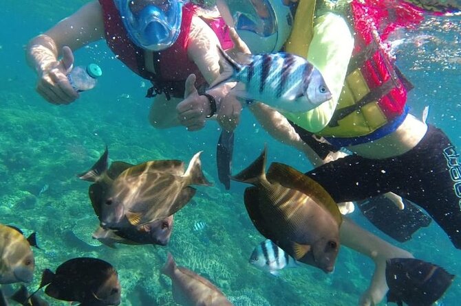 Bali Private Custom Tour - How the custom itinerary really works with your driver