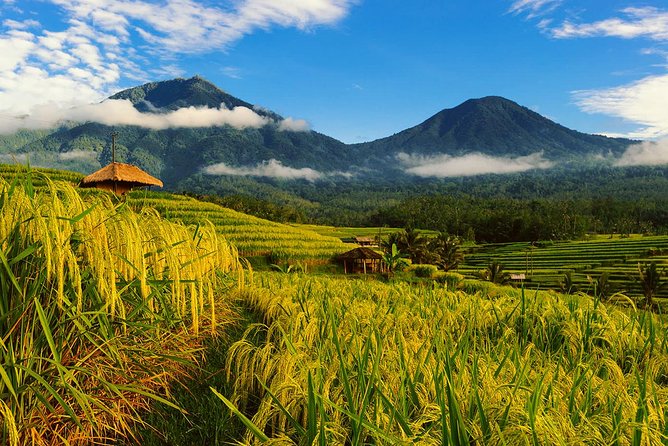 Bali Private Driver - Bali customized private tour - Key things I’d focus on before you book