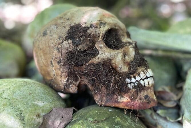Bali Private Mystic Death Tour In Trunyan - Ubud pickup, driving time, and staying comfortable