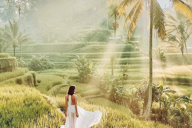 Bali Private Tour - Best of Ubud - All Inclusive - Best of Ubud in One Long Day, Built for a Time Crunch